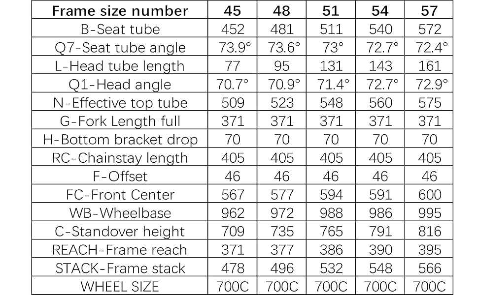 Java Fuoco Top 105 12 Speed R7120 Road Bike Bicycle Unisex Adult