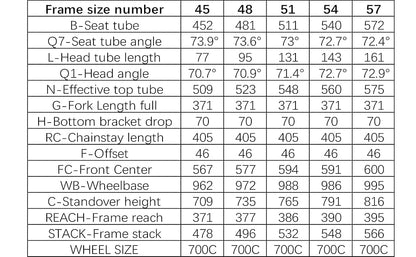 Java Fuoco Top 105 12 Speed R7120 Road Bike Bicycle Unisex Adult