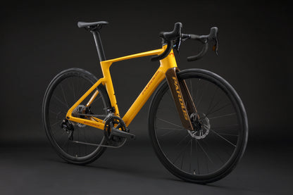Pardus Spark AL LTWOO 12 Speed Hydraulic Brake Road Bike
