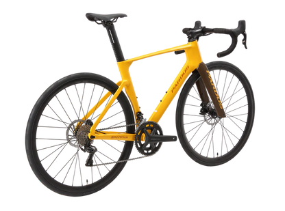 Pardus Spark AL LTWOO 12 Speed Hydraulic Brake Road Bike
